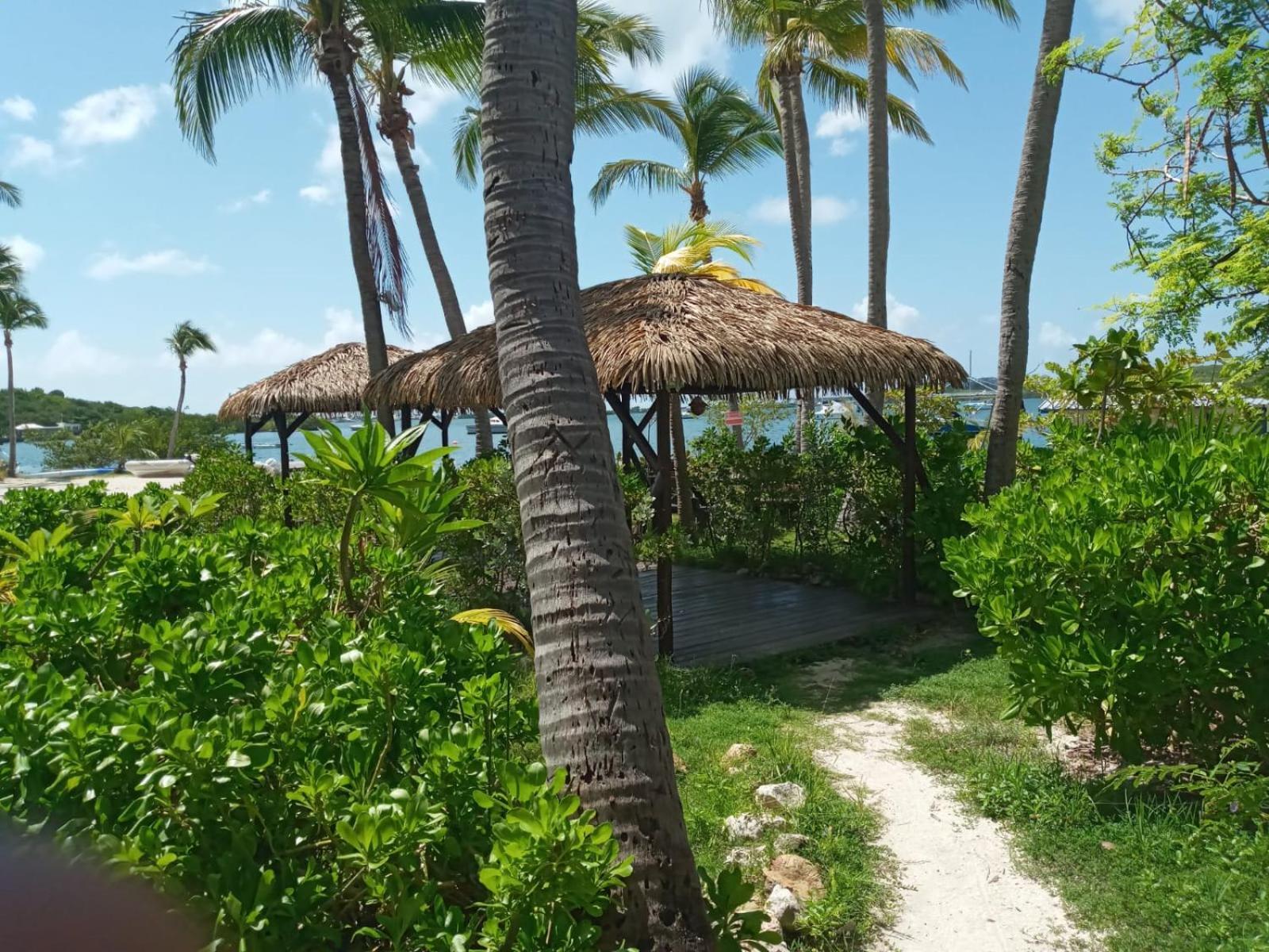 Just In Paradise Baie Nettle Ngoại thất bức ảnh