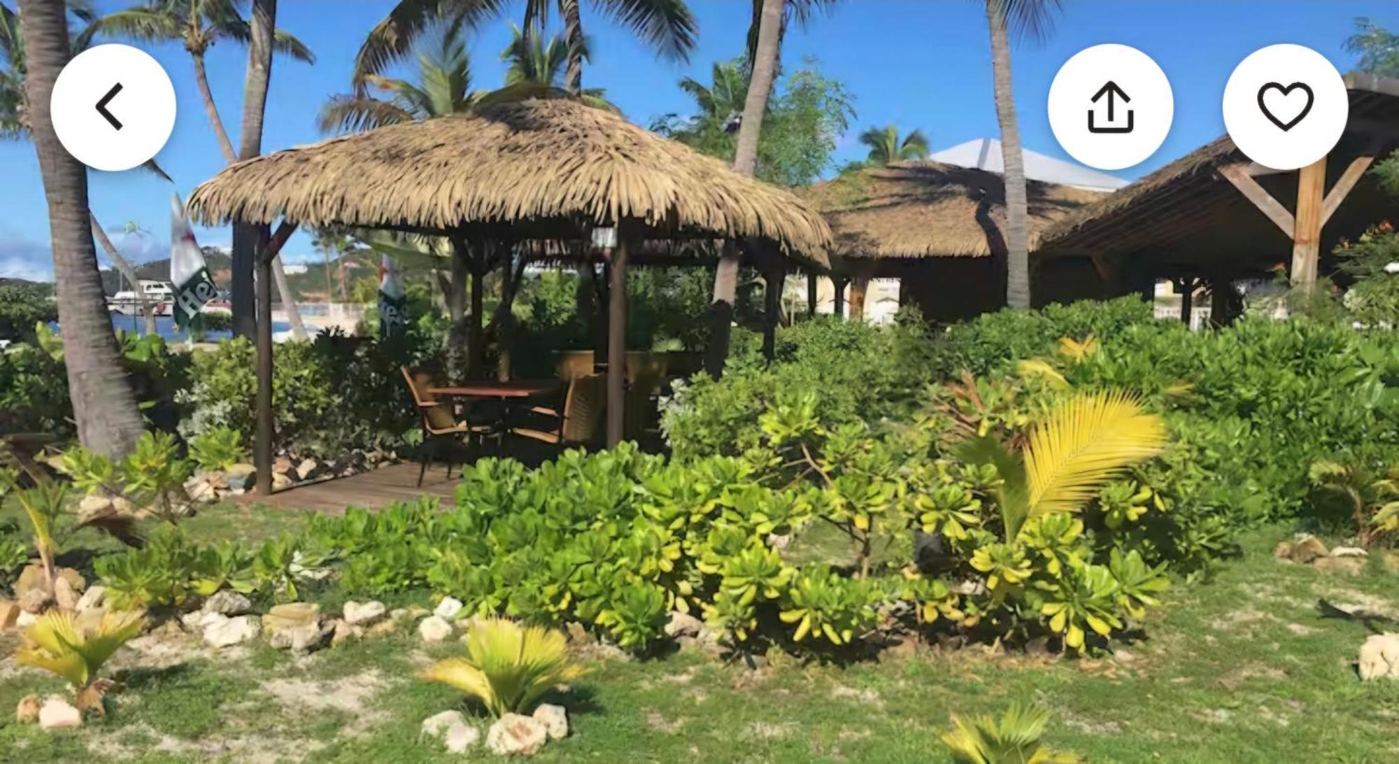 Just In Paradise Baie Nettle Phòng bức ảnh